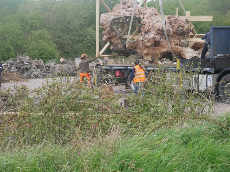 The tree is loaded onto the lorry