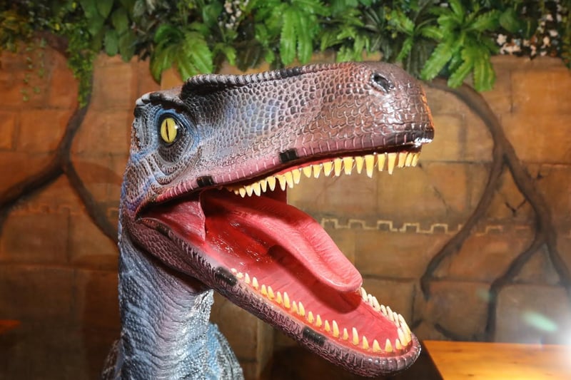 There's plenty of dinosaur themed fun at the new restaurant