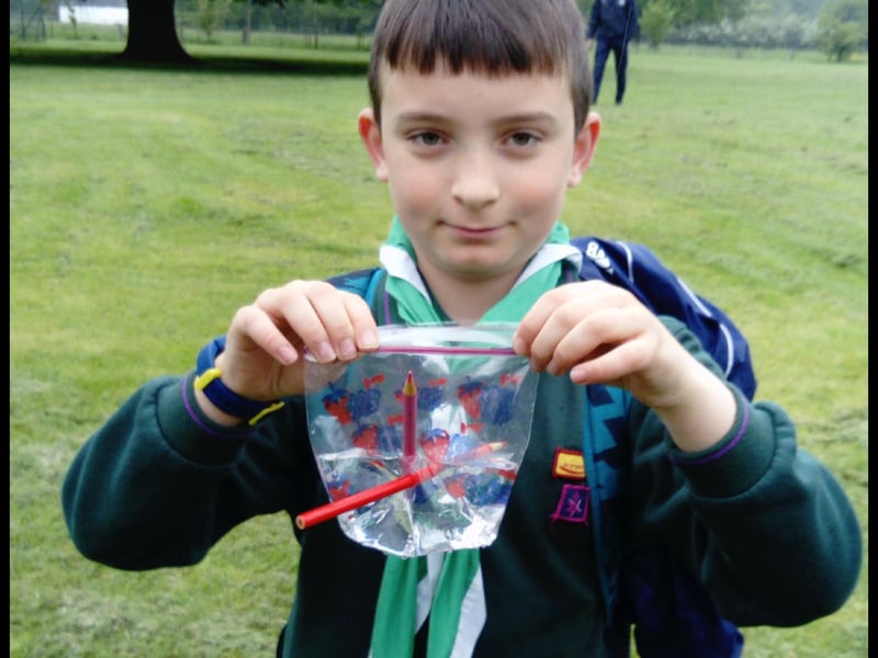 Poking pencils through a bag of water