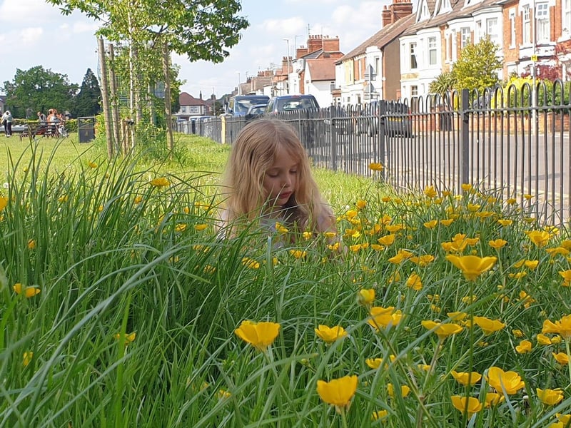 Admiring the summer blooms!