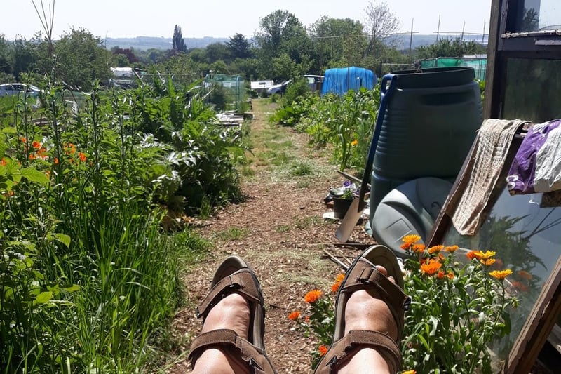 Taking a well deserved book break after working on the allotment!
