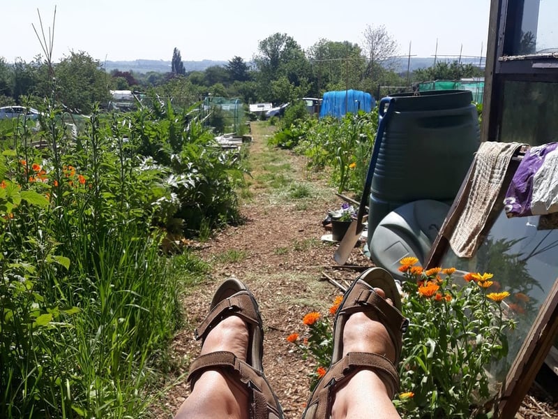 Taking a well deserved book break after working on the allotment!