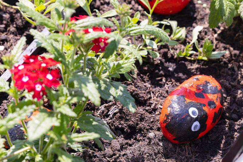 Painted stone ladybirds in one of the mini-gardens