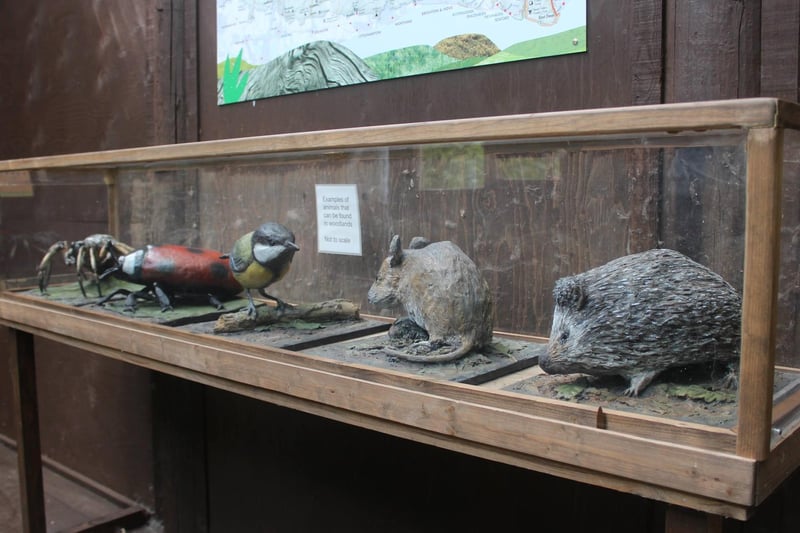 A display inside the wildlife hide, which is popular with school and youth groups