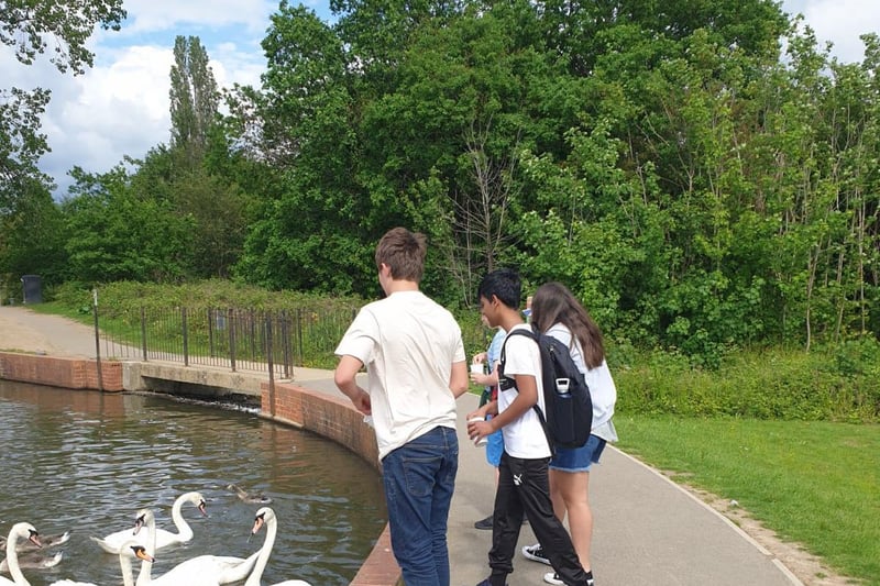 Feeding the swans on the sponsored walk around Earlswood Lakes