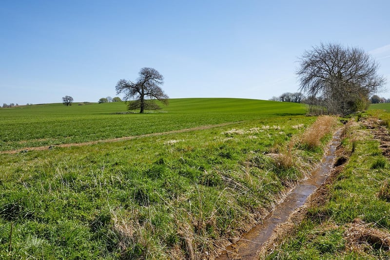 The nearly 400 acres at Sutton Lodge Farm are bordered by mature hedges and beetle banks. There is also pasture, woodland and an area of grassland.