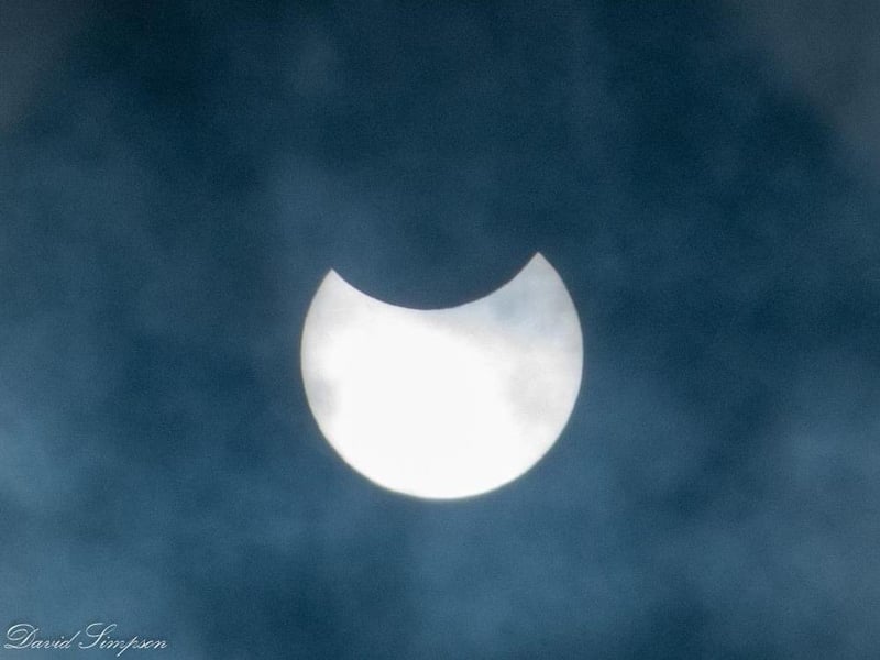 This brilliant snap was taken by David Simpson from his Duston garden.