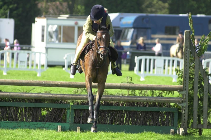 A young rider takes a jump at Ardingly's South of England Show in 2008.