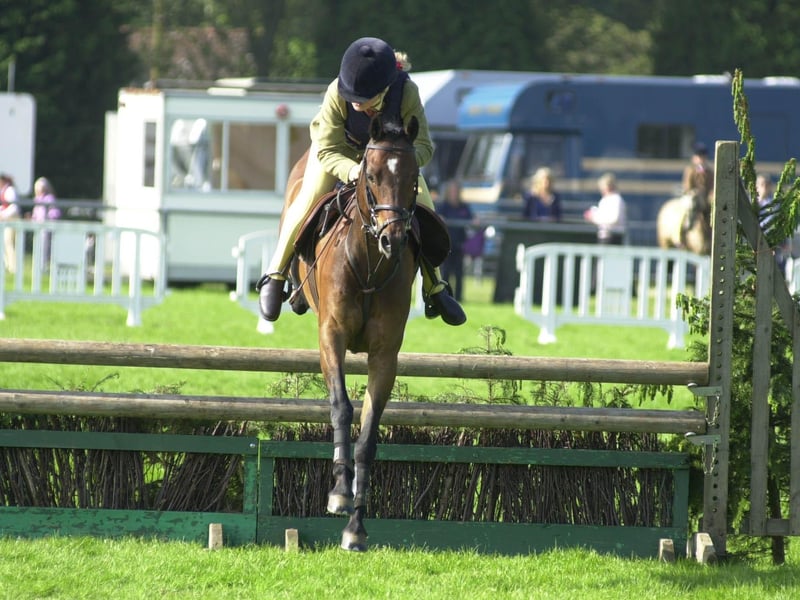 A young rider takes a jump at Ardingly's South of England Show in 2008.