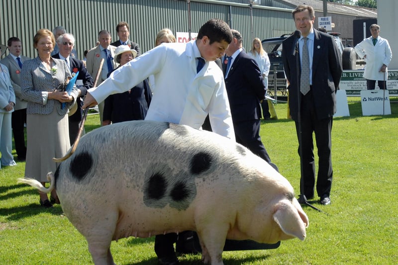 The Duke of Norfolk opening the South of England Show in 2008 with one of his wife's Gloucester Old Spots. Picture by Malcolm McCluskey
