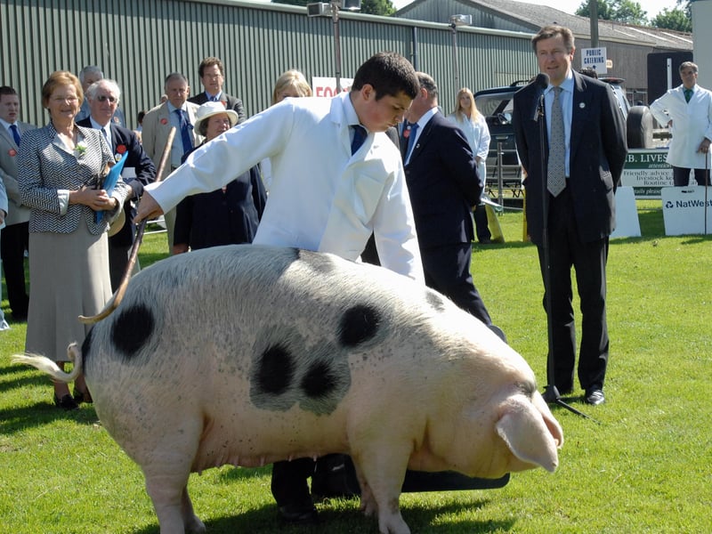 The Duke of Norfolk opening the South of England Show in 2008 with one of his wife's Gloucester Old Spots. Picture by Malcolm McCluskey