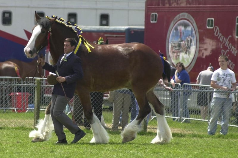 A winner is paraded at Ardingly's South of England Show in 2008.