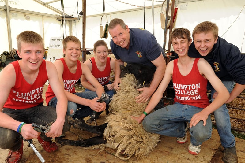 Sheep shearing students from Plumpton College at the 2015 show.