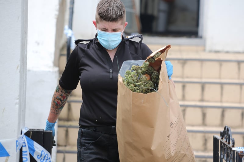 The plants were seized by police