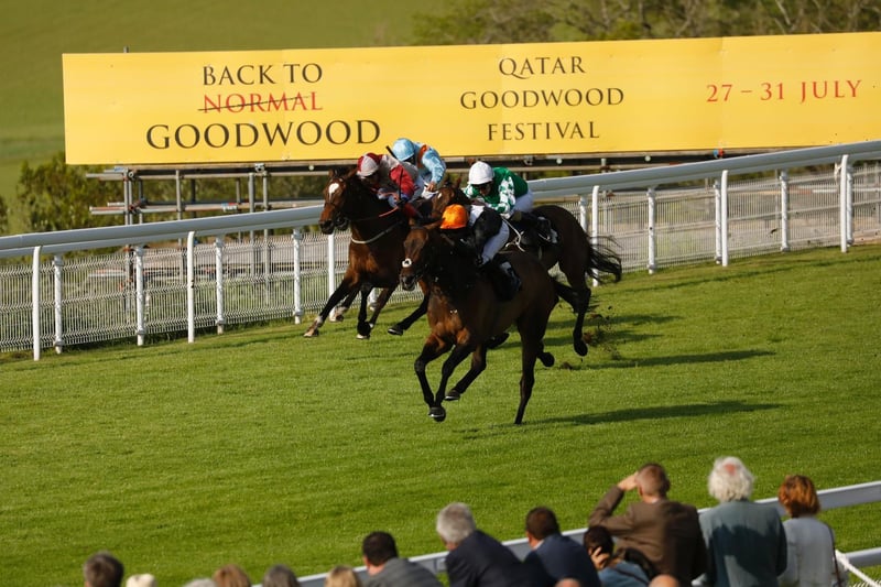 Action from Goodwood's second Friday evening meeting in its series of three in June - the last of which is to come next week, on June 18 / Pictures: Clive Bennett