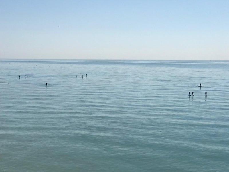 Paddelboarders in Hastings