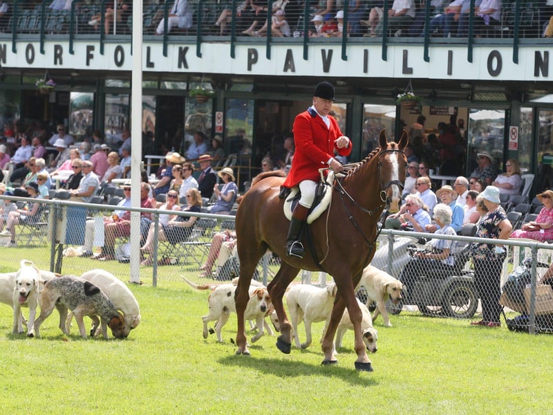 DM21060484a.jpg. South Of England Show 2021. Photo by Derek Martin Photography. SUS-211206-201407008