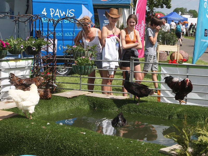 DM21060493a.jpg. South Of England Show 2021. Photo by Derek Martin Photography. SUS-211206-201448008