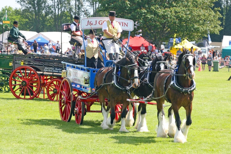 DM21060527a.jpg. South Of England Show 2021. Heavy horses on show. Photo by Derek Martin Photography. SUS-211206-201538008