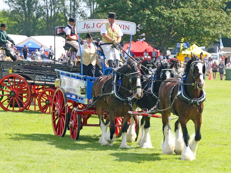 DM21060527a.jpg. South Of England Show 2021. Heavy horses on show. Photo by Derek Martin Photography. SUS-211206-201538008