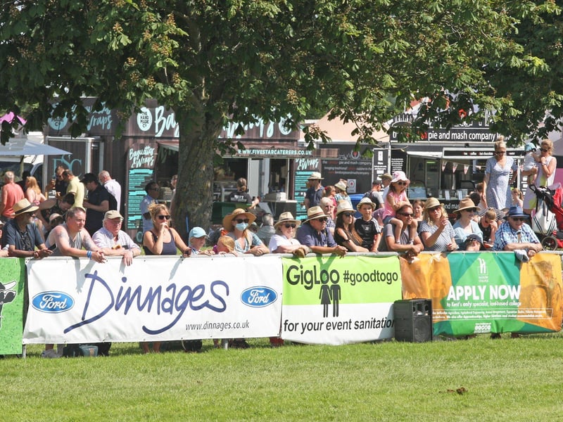 DM21060531a.jpg. South Of England Show 2021. Visitors watch the Heavy horses on show. Photo by Derek Martin Photography. SUS-211206-201549008