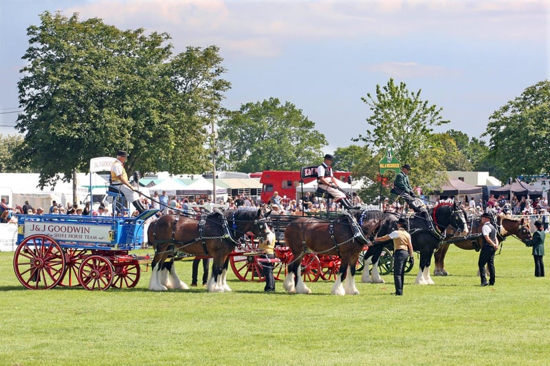 DM21060521a.jpg. South Of England Show 2021. Heavy horses on show. Photo by Derek Martin Photography. SUS-211206-201528008
