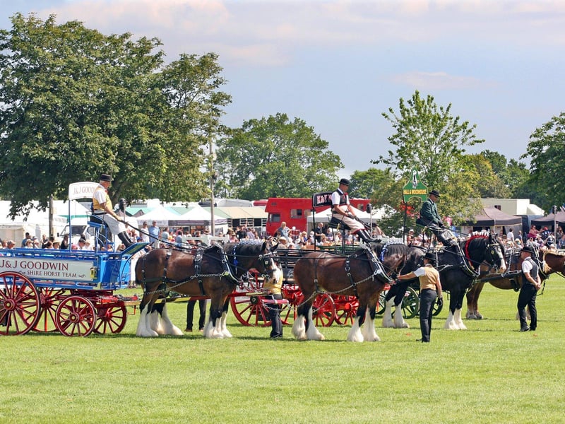 DM21060521a.jpg. South Of England Show 2021. Heavy horses on show. Photo by Derek Martin Photography. SUS-211206-201528008
