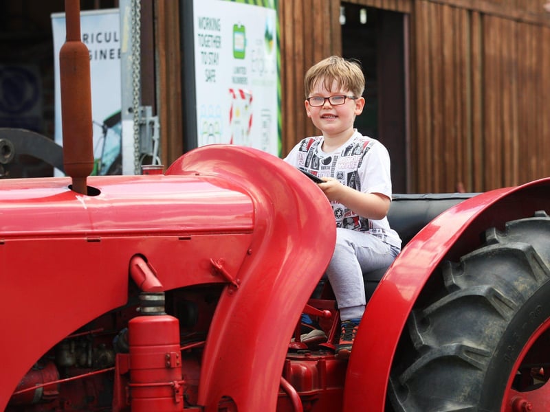 DM21060470a.jpg. South Of England Show 2021. Jasper Derrick 5. Photo by Derek Martin Photography. SUS-211206-201327008