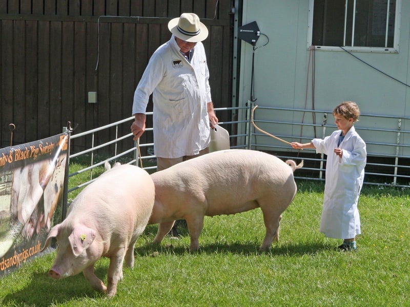 DM21060512a.jpg. South Of England Show 2021. Photo by Derek Martin Photography. SUS-211206-201014008
