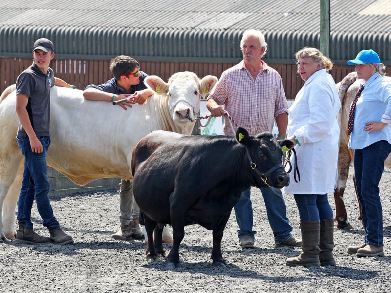 DM21060516a.jpg. South Of England Show 2021. Photo by Derek Martin Photography. SUS-211206-201024008