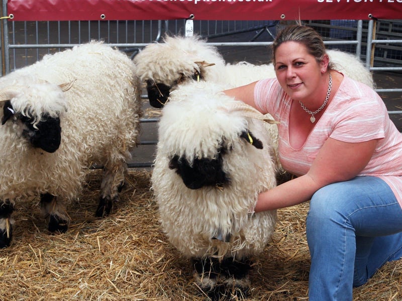 DM21060507a.jpg. South Of England Show 2021. Mari Wilson from Valais Blacknose Sheep Kent. Photo by Derek Martin Photography. SUS-211206-201003008