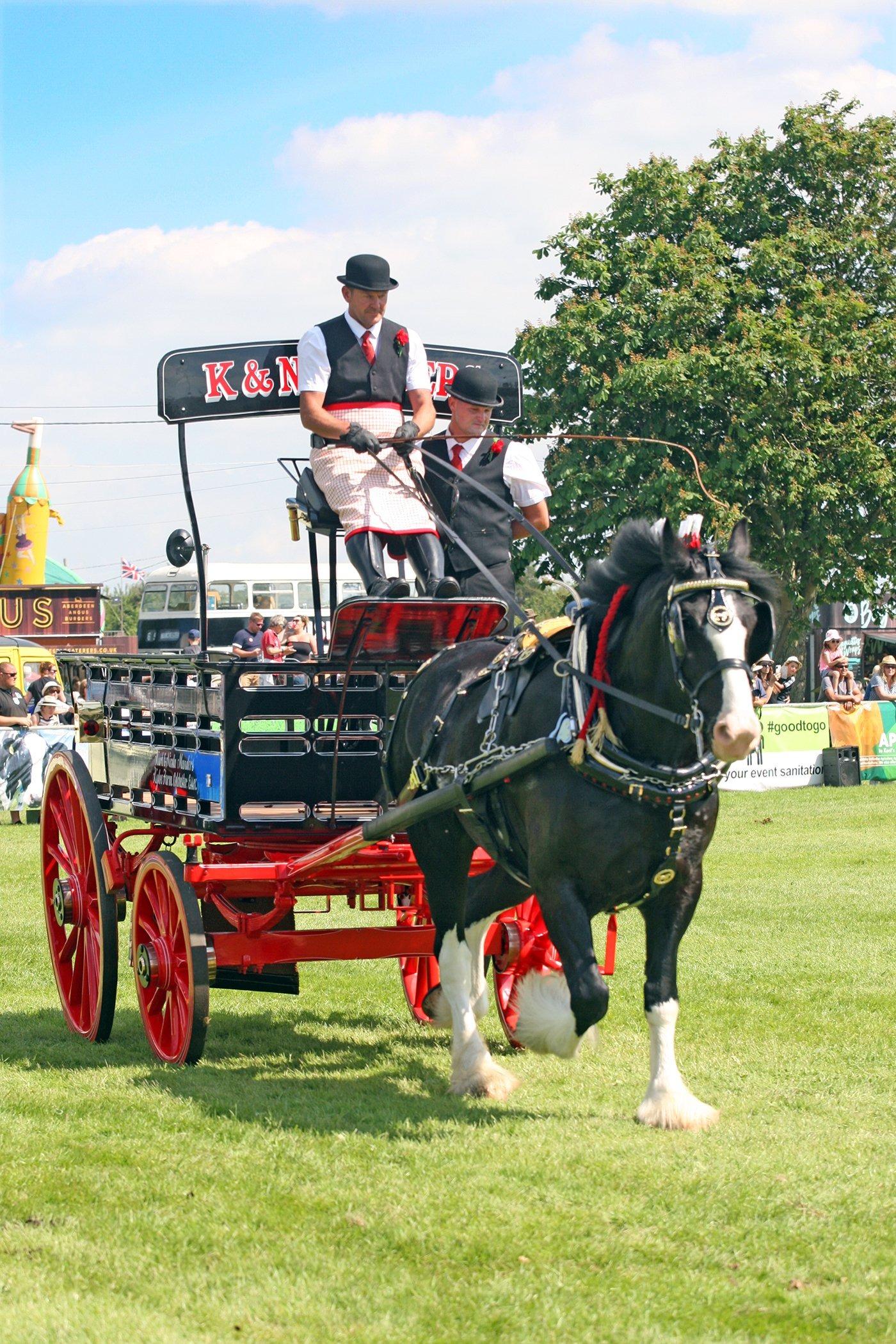 DM21060537a.jpg. South Of England Show 2021. Heavy horses on show. Photo by Derek Martin Photography. SUS-211206-201559008