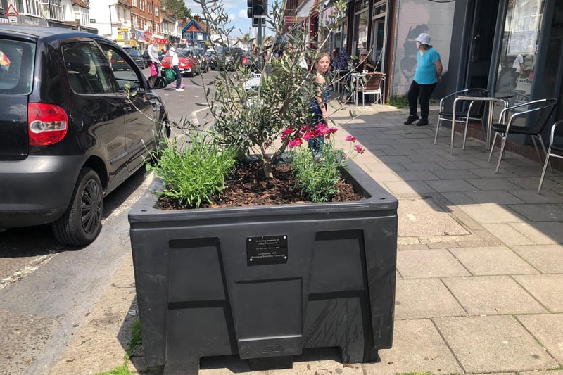 The planter outside Colosseo Italian restaurant in Boundary Road