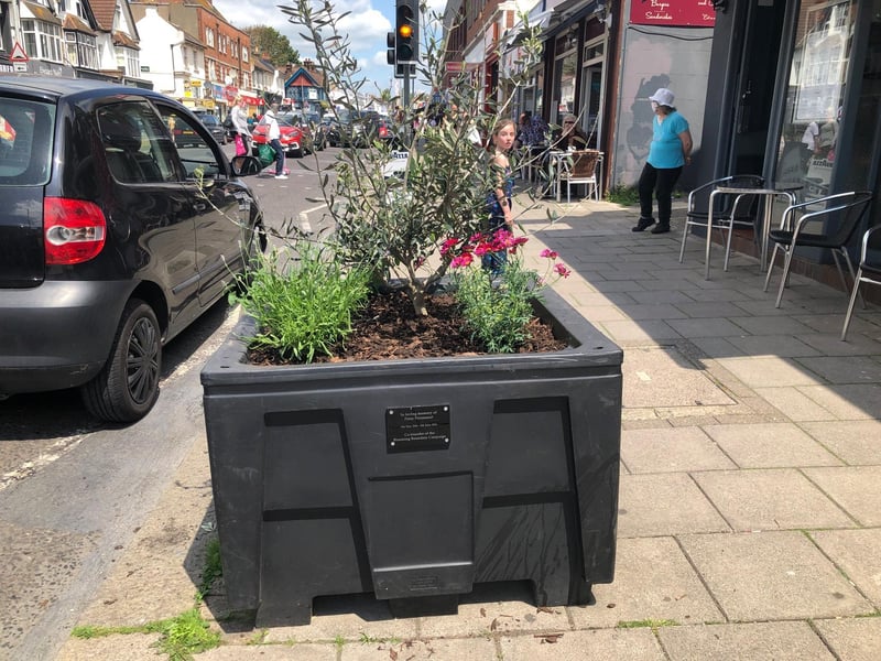 The planter outside Colosseo Italian restaurant in Boundary Road