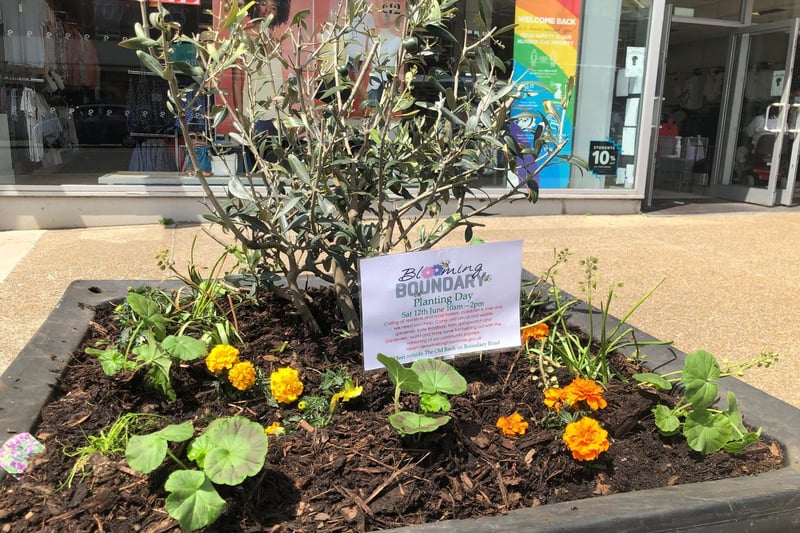 One of the 24 planters put in thanks to fundraising and support from local businesses