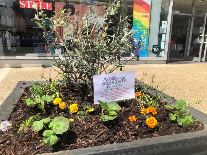 One of the 24 planters put in thanks to fundraising and support from local businesses
