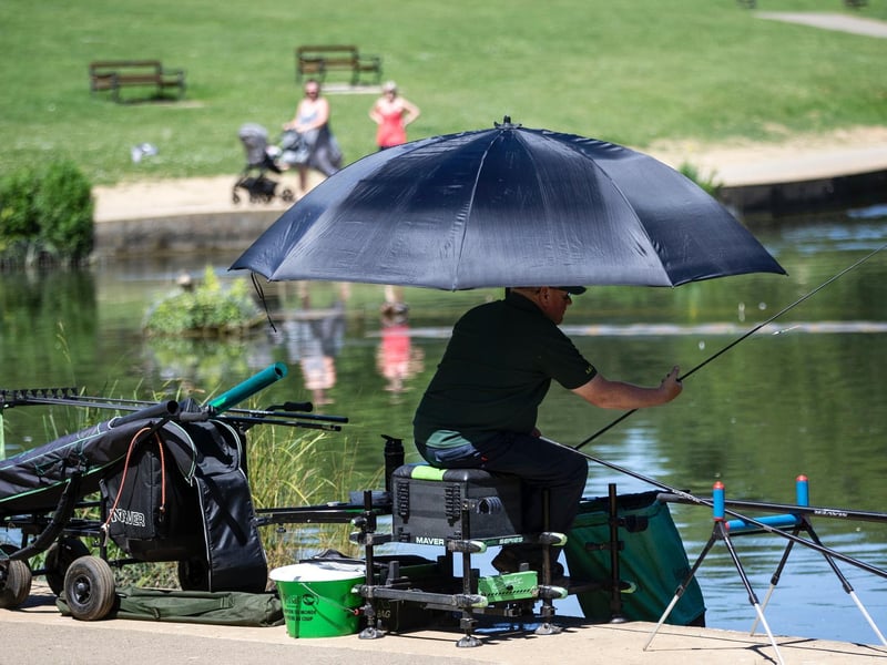 Sticking to the shade in this heat is the wise option if you plan on staying outside for hours.