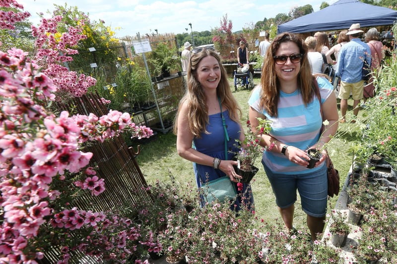 Nicola Wigginton, left, and Jo Creese at the Garden Show. Picture: Chris Moorhouse
