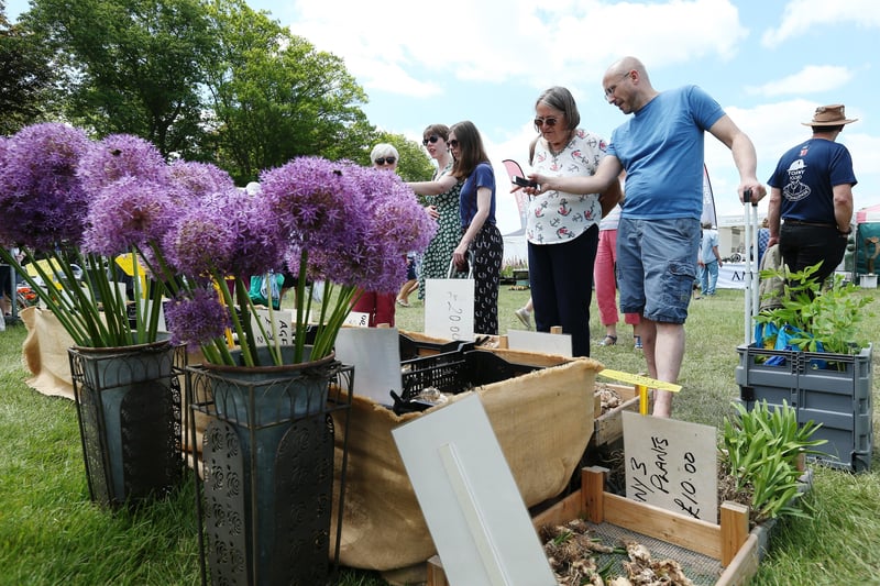 Admiring alliums at the Garden Show Picture: Chris Moorhouse