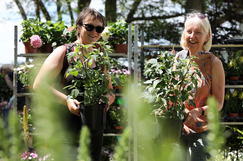 Alison Hartland, left, and Sue Green were pleased to find the last pair of Salvia Amistads, one each at the Garden Show. Picture: Chris Moorhouse