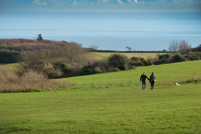 Hastings Country Park Nature Reserve is a great spot for wildlife.