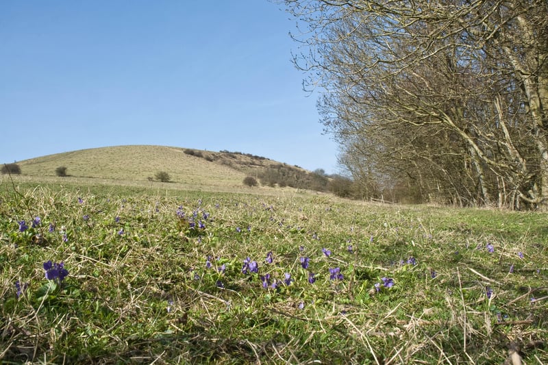Climb to the top of these ancient slopes near Clayton, which are a designated Special Site of Scientific Interest.