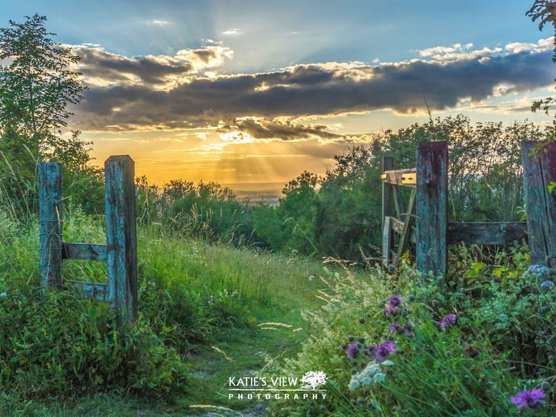 Kasia Kedziora, of Katie's View Photography, shared her favourite West Sussex images with us