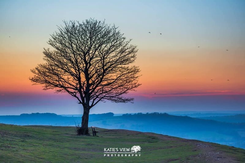 Kasia Kedziora, of Katie's View Photography, shared her favourite West Sussex images with us