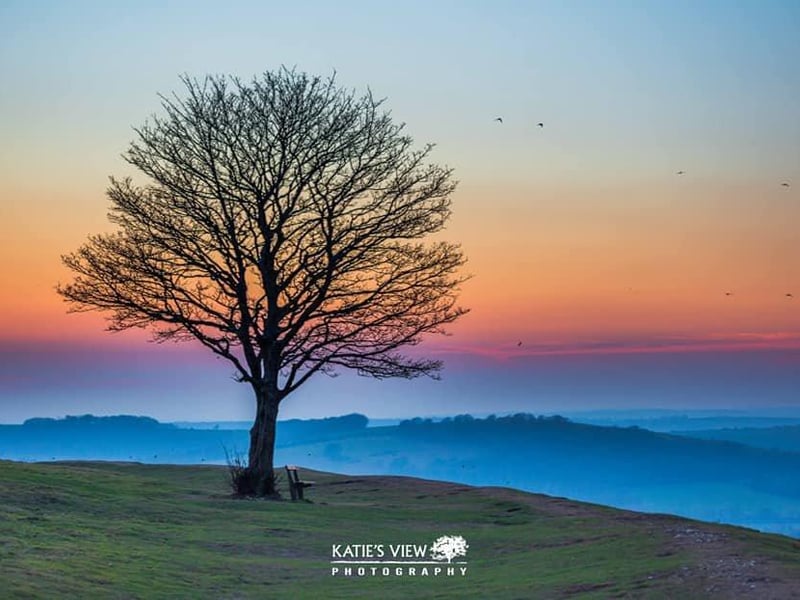 Kasia Kedziora, of Katie's View Photography, shared her favourite West Sussex images with us
