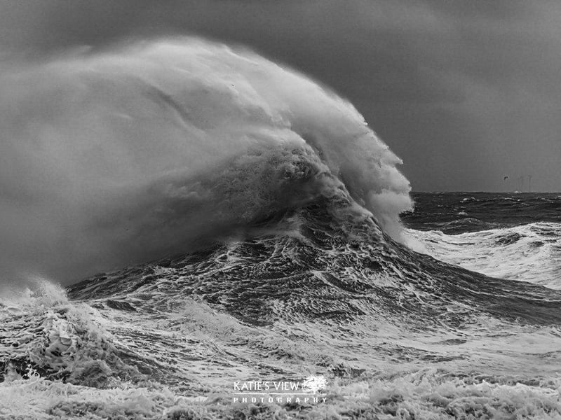 Kasia Kedziora, of Katie's View Photography, shared her favourite West Sussex images with us