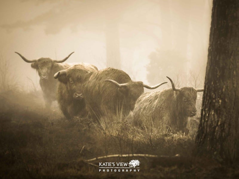 Kasia Kedziora, of Katie's View Photography, shared her favourite West Sussex images with us