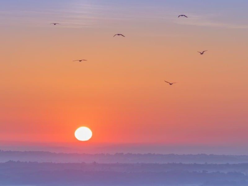Kasia Kedziora, of Katie's View Photography, shared her favourite West Sussex images with us