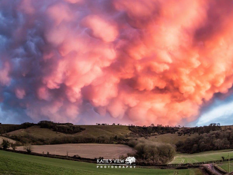 Kasia Kedziora, of Katie's View Photography, shared her favourite West Sussex images with us