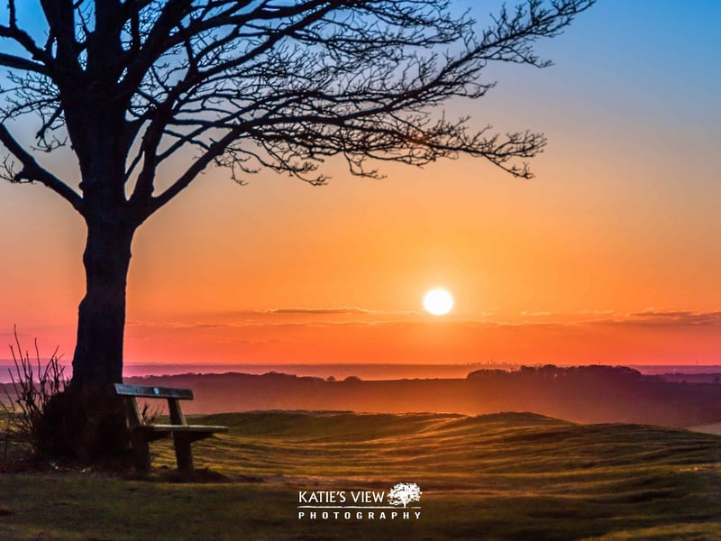Kasia Kedziora, of Katie's View Photography, shared her favourite West Sussex images with us